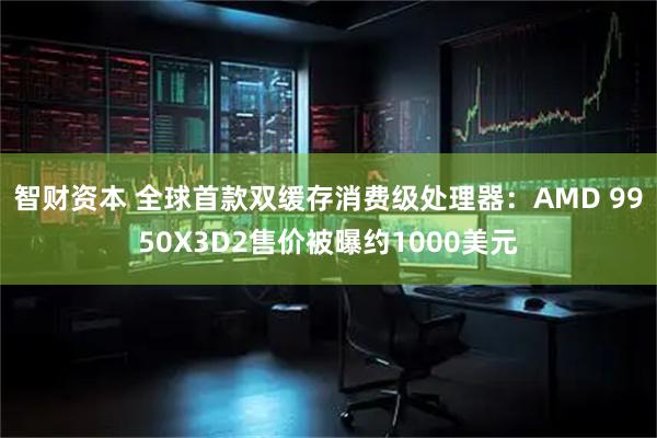 智财资本 全球首款双缓存消费级处理器：AMD 9950X3D2售价被曝约1000美元